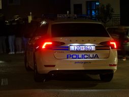Hrvatska policija