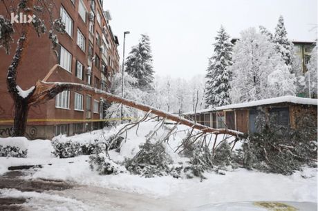 Sarajevo, drvo palo na ženu i ubilo je