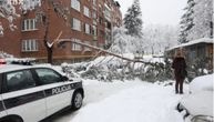 Stablo palo pod težinom snega i ubilo ženu! Horor u Sarajevu