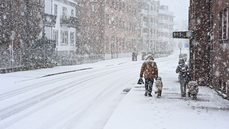 Sneg Evropa hladnoća vreme