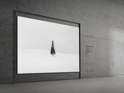 Samsung Micro RGB TV