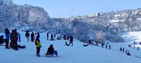 Sankanje na Košutnjaku