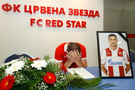Goran Gogić, FK Crvena zvezda