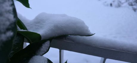 Sneg, Beograd, jutro