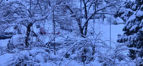 Sneg, Beograd, jutro