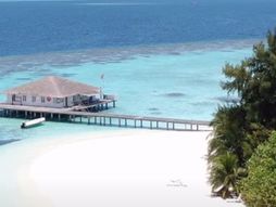 Maldivi
