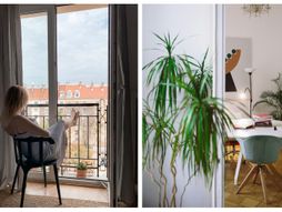 dom, stan, dekor, mali stan, biljke