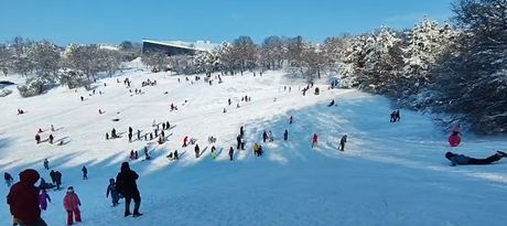 Sankanje na Košutnjaku
