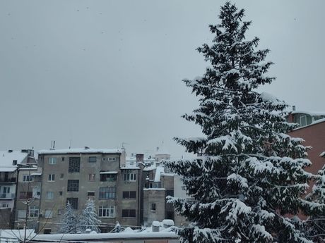 Sneg, Beograd, jutro