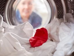 crvena carapa u belom vesu