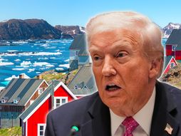 Donald Tramp Grenland