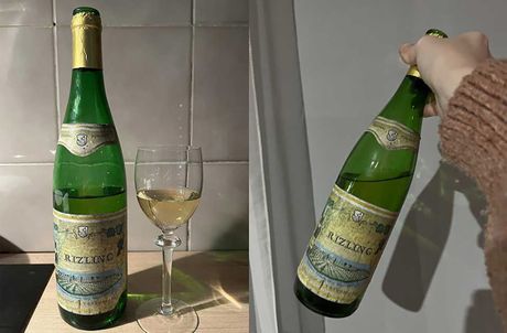 Zrenjanin, vino rizling