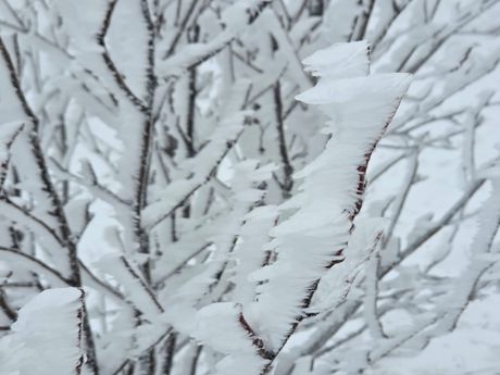 Božićni uspon na Rtanj, Rtanj, sneg, planina