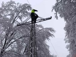 Ivanjica, Elektrodistribucije Srbije monteri kvarovi na dalekovodu