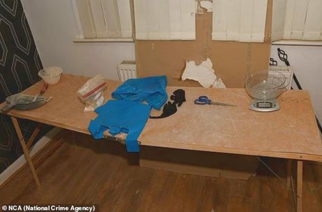 narko kraljica Nosheen