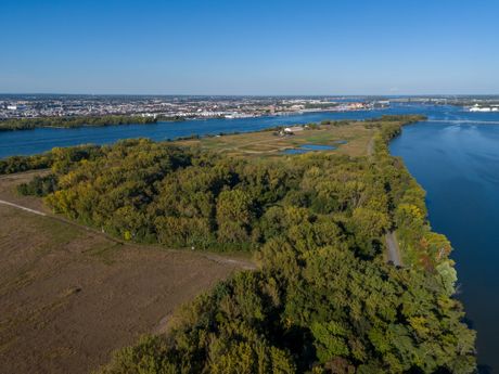 Petty's island Delaware River