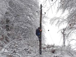 Sneg, dalekovod, kvar, kvar na mreži