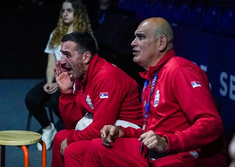 Boks, Bokserski savez Srbije