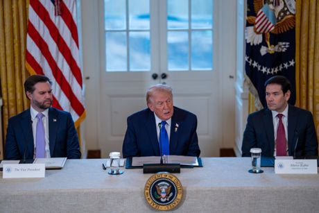 Džej Di Vens, Donald Tramp, Marko Rubio