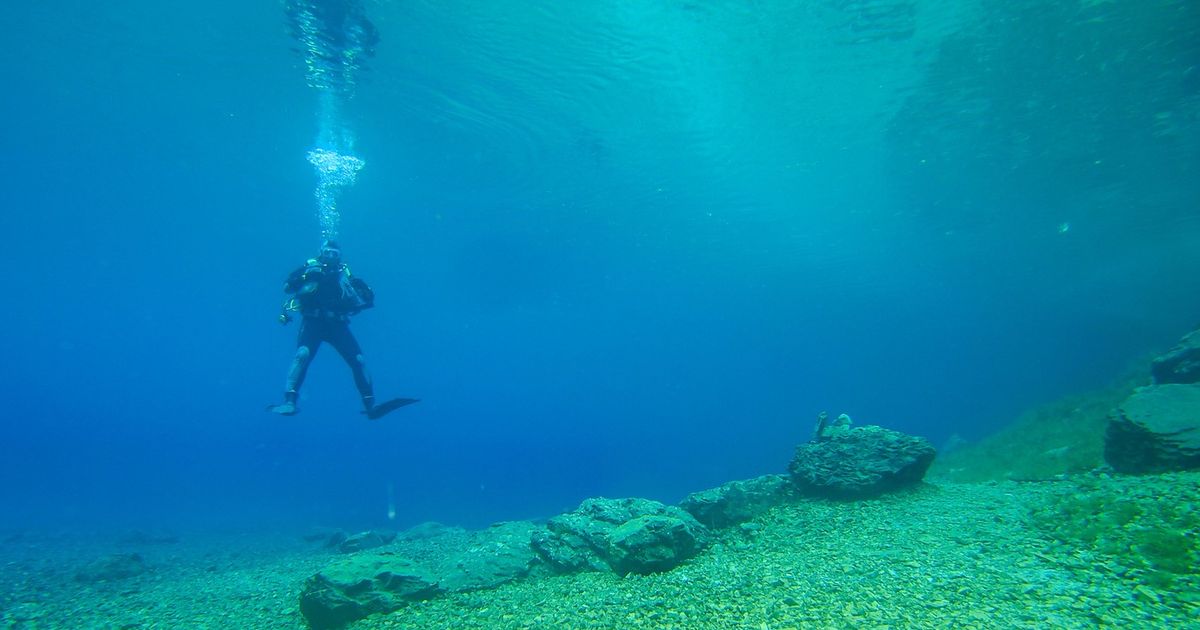 PRONAĐENI OSTACI DREVNOG MONSTRUMA Tinejdžer zaronio u more i ugledao nešto neverovatno, snimak sve oduševio