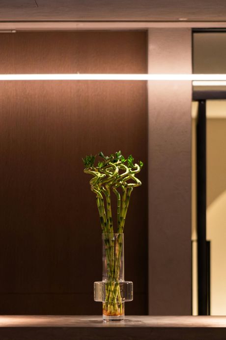 bambus, vazna, biljka, dom, enterijer