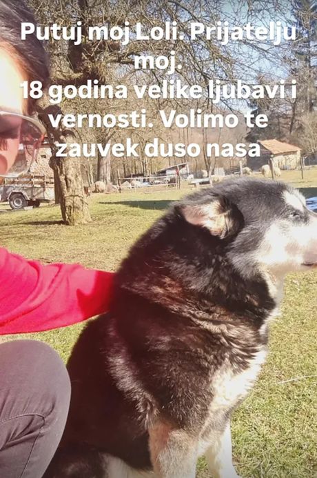 Sanji Maletić objava