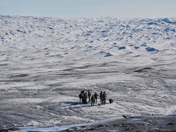 Greenland Grenland