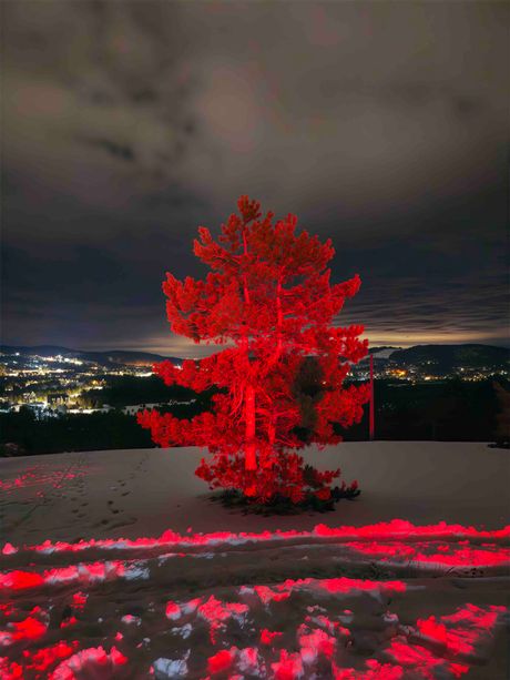 HONOR Magic8 Pro noćna fotografija