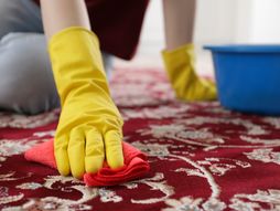 žena, tepih, čišćenje