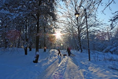 Led, Sneg, Zaleđeno, Beograd, Zima, vremenska prognoza