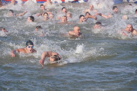Bogojavljenje, Plivanje za časni krst, Zemun