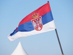 zastava srbija, srpska zastava Bogojavljenje, Plivanje za časni krst, Zemun