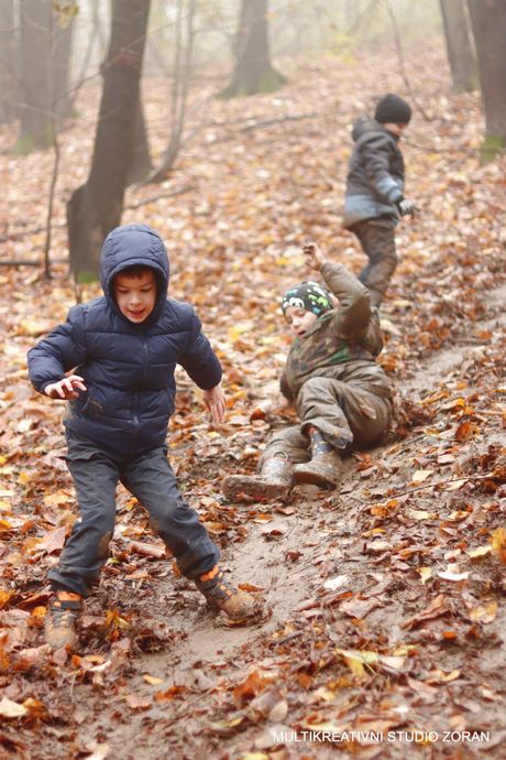 Multikreativni studio Zoran