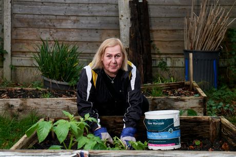 žena, bašta, baka, cveće, sadnja