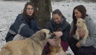 3 devojke rizikovale živote da spasu napuštene pse iz poplava u Crnoj Gori: O njihovom podvigu bruji region