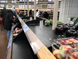 Amerika prazne prodavnice, prodavnica