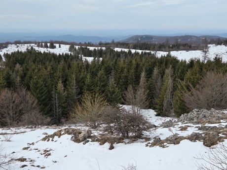 Beljanica