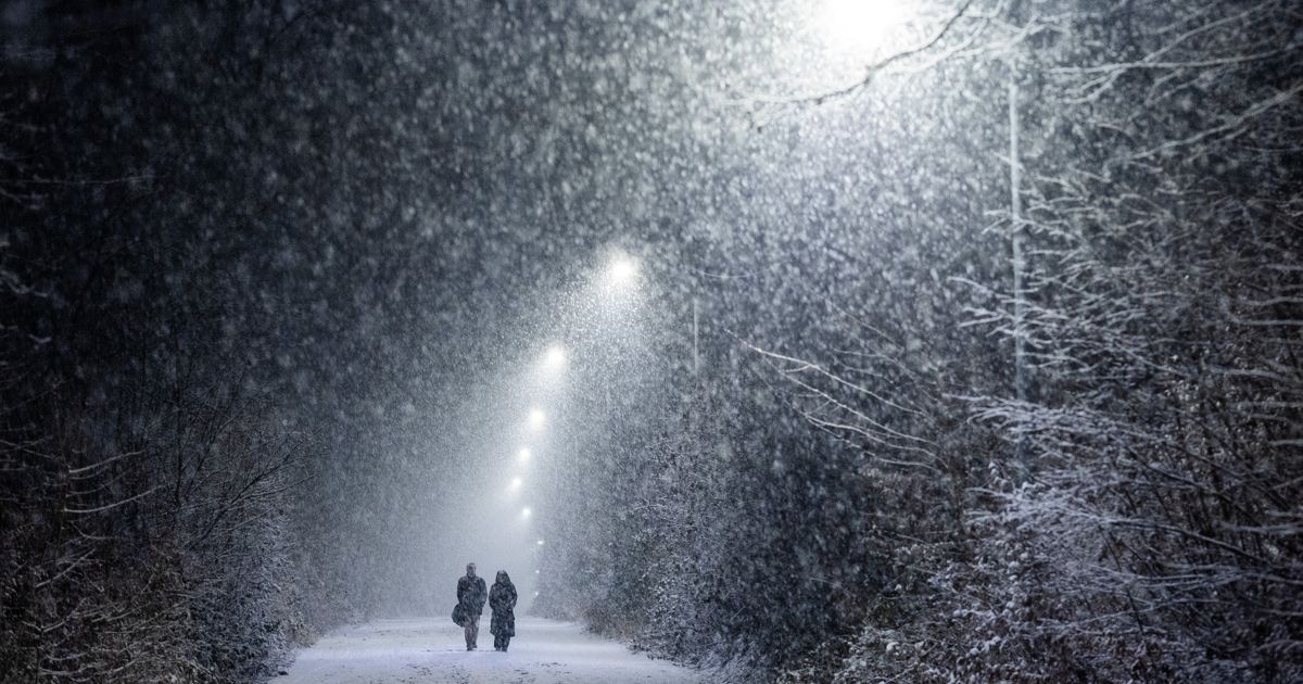 Winter Doesn't Give Up! Southern Serbia Also Got Covered in Snow: Unreal Footage Arrives, Large Flakes Are Falling