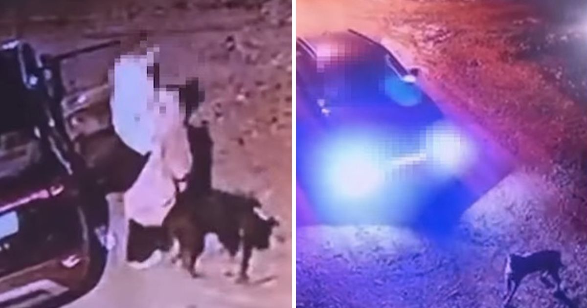 Jeziv snimak iz Beograda zgrozio svet! Žena izašla iz vozila, ostavila NJEGA, pa pobegla: Traže je vlasti