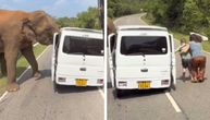 OTIŠLI NA ODMOR, DOŽIVELI HOROR Slon težak 3 tone napao vozilo s turistima, snimak je zastrašujući