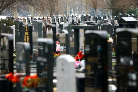 Novo Bežanijsko groblje