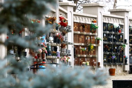 Novo Bežanijsko groblje