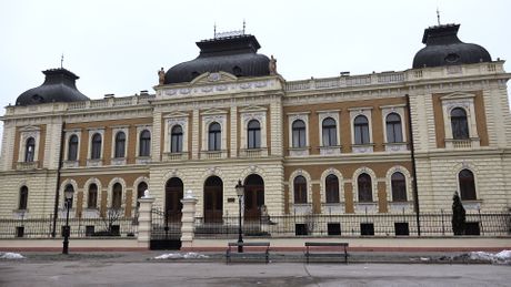 Karlovačka bogoslovija, internat, Ona otkriva Srbiju, Sremski Karlovci