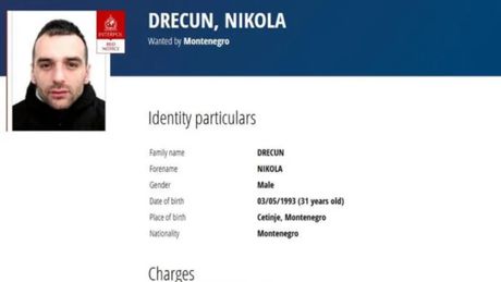 Nikola Drecun