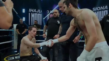 Mihajlo Madić, Profesionalni