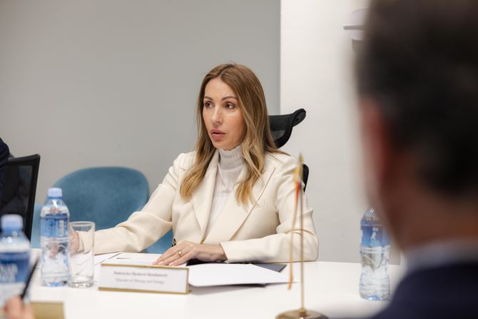 Dubravka Đedović Handanović