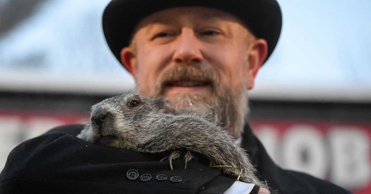 Danas je Dan mrmota, znate li šta to znači?