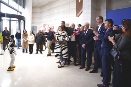 VUČIĆ ROBOTI MINTHAGIBOT