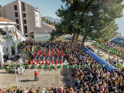 praznik mimoze, dani mimoze, Herceg Novi
