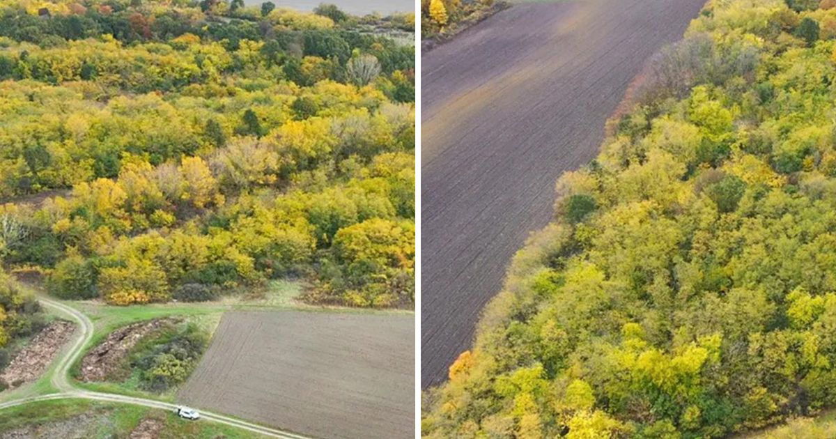 Neverovatna akcija Društva za zaštitu ptica: Kupili šumu Slavujev lug u kojoj žive strogo zaštićene vrste!